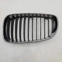 Front grill