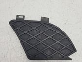 Front fog light trim/grill