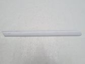 Rear fender molding trim