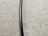 Other rear door trim element