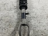 Front shock absorber with coil spring