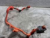Other wiring loom