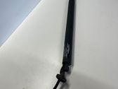 Tailgate strut