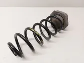 Rear coil spring