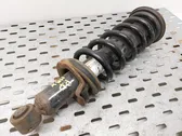 Front shock absorber with coil spring