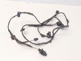 Parking sensor (PDC) wiring loom