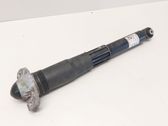 Stoßdämpfer hinten