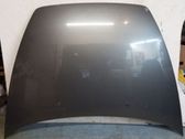 Engine bonnet/hood