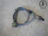 Sonde lambda