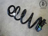 Rear coil spring