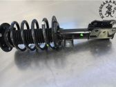 Front shock absorber with coil spring