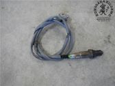 Sonde lambda