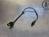 Sonde lambda