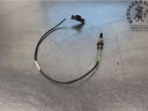 Sensor de temperatura del escape