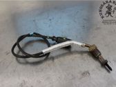 Sensor de temperatura del escape