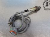 Sonde lambda