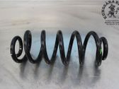 Muelle espiral trasero