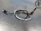 Abgastemperatursensor