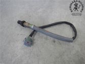 Lambda probe sensor