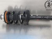 Stoßdämpfer hinten