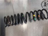 Rear coil spring