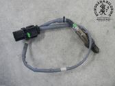 Sonde lambda