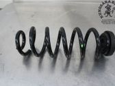 Feder hinten