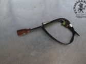 Sensor de temperatura del escape