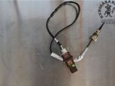 Exhaust gas temperature sensor