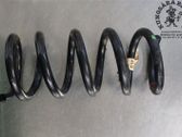 Rear coil spring