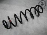 Rear coil spring