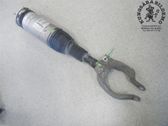 Front shock absorber with coil spring