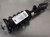 Front shock absorber with coil spring
