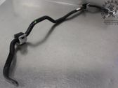 Stabilisator hinten