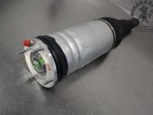 Front shock absorber with coil spring