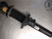 Front shock absorber with coil spring