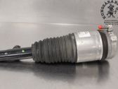 Front shock absorber with coil spring