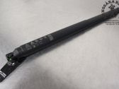 Tailgate/trunk strut/damper