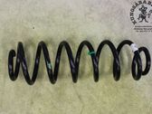Muelle espiral trasero
