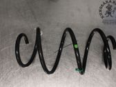 Front coil spring