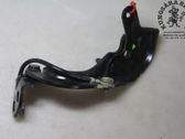Tailgate/trunk/boot hinge