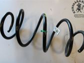 Front coil spring