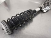 Front shock absorber with coil spring
