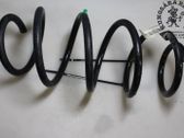 Front coil spring