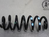 Muelle espiral trasero