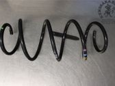 Front coil spring
