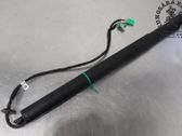 Tailgate/trunk strut/damper