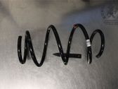 Front coil spring