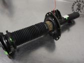 Front shock absorber with coil spring