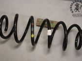 Front coil spring